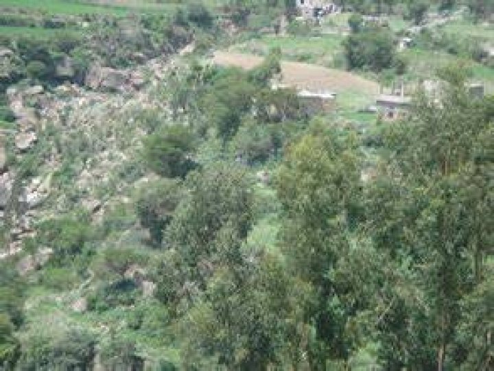 صور كوينتن جاكسون