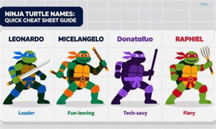 400+ Turtle names good, ninja, and cute turtle names Blog