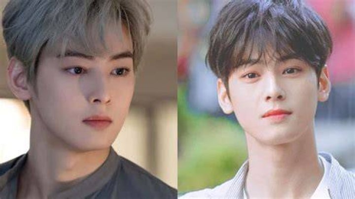 Did K-Pop Star Cha Eun Woo Tie The Knot? Unraveling The Marriage Rumors