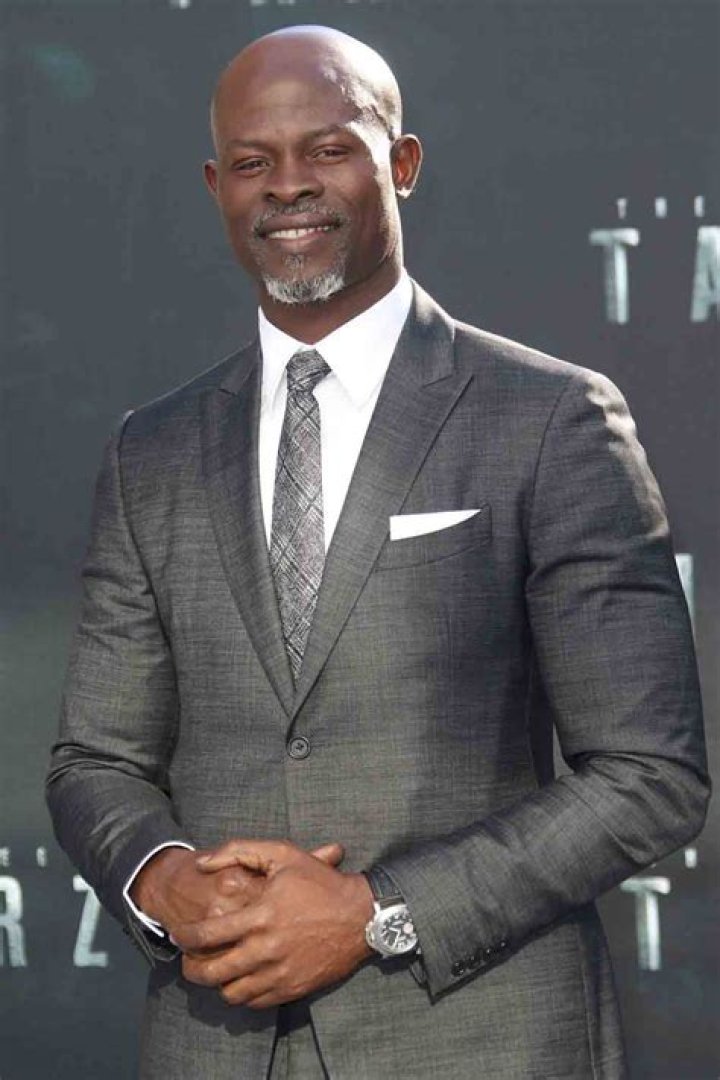 Djimon Hounsou Career, Age, Family and Net worth House
