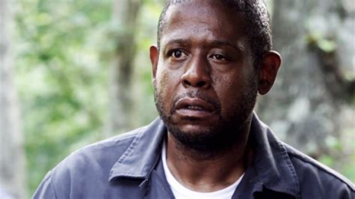 Forest Whitaker's Eye: A Captivating Gaze | Film And Acting