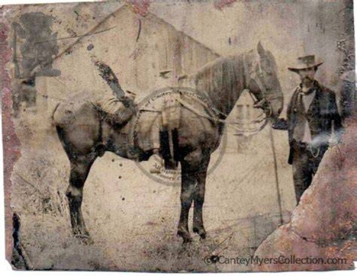 gunfighters csg034 mysterious dave mather birth and death un &mdash; Lea F