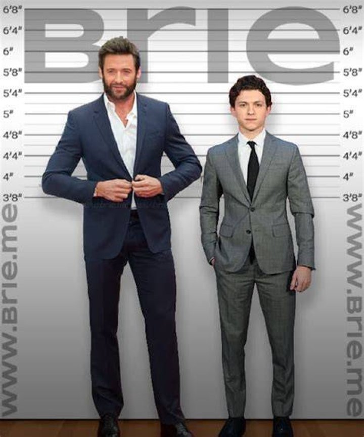 How tall is Hugh Jackman Celebrity Heights Hugh jackman, Jackman