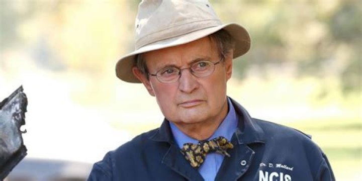 Is Ducky, The Beloved Character From NCIS, Dead In Real Life?