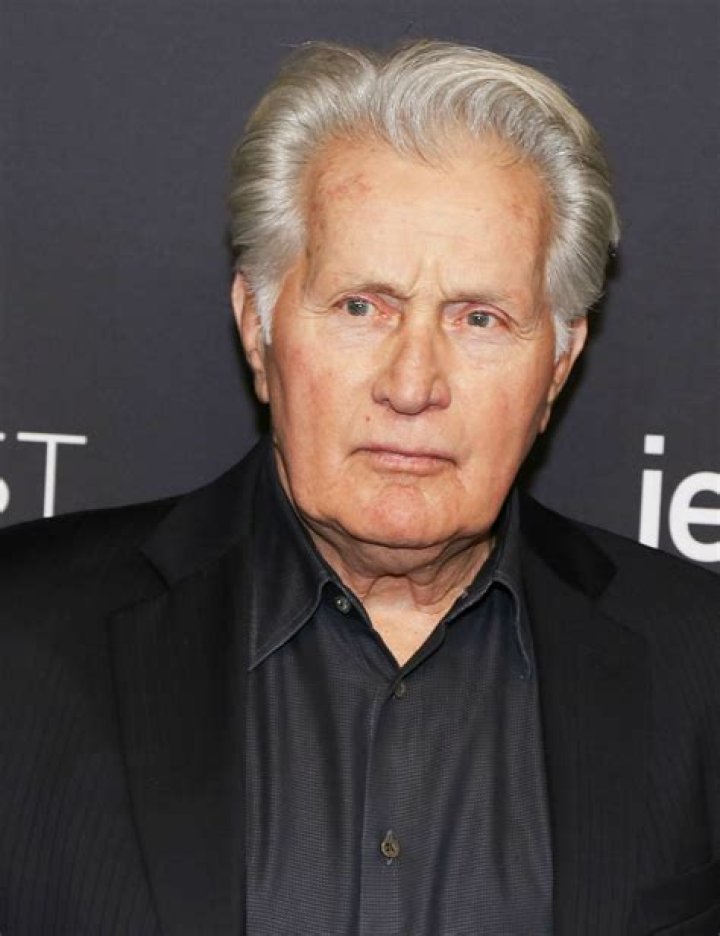 Martin Sheen's 4 Children Emilio, Ramon, Charlie and Ren&eacute;e