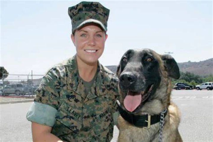 Matt Morales: A Devoted Marine And Loving Husband