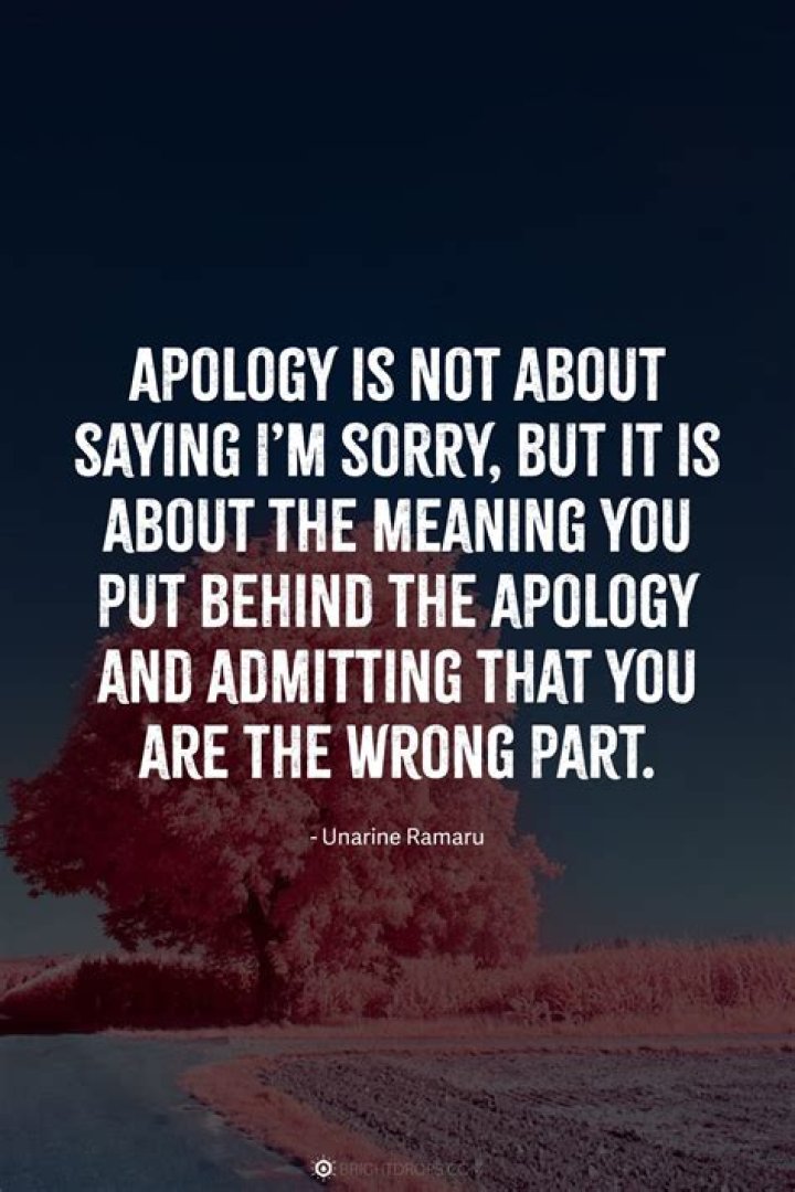 Quotes About Being Sorry SERMUHAN