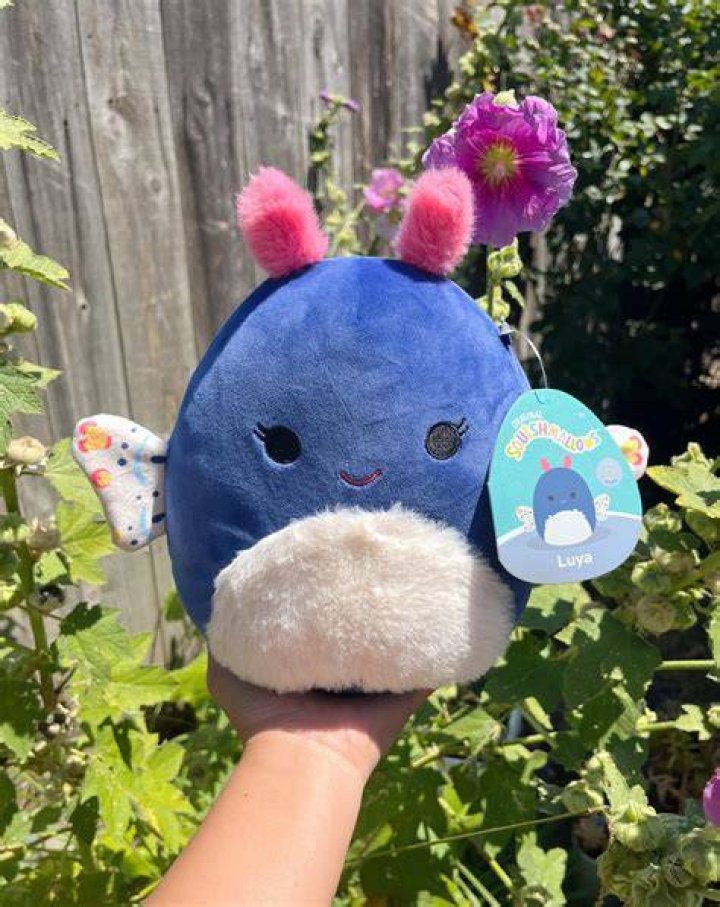 Rare Squishmallows Reddit