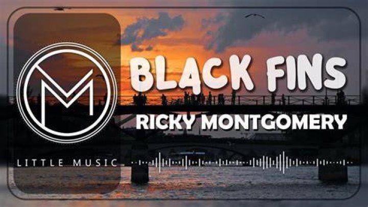 Ricky Montgomery Black Fins [Lyrics] YouTube