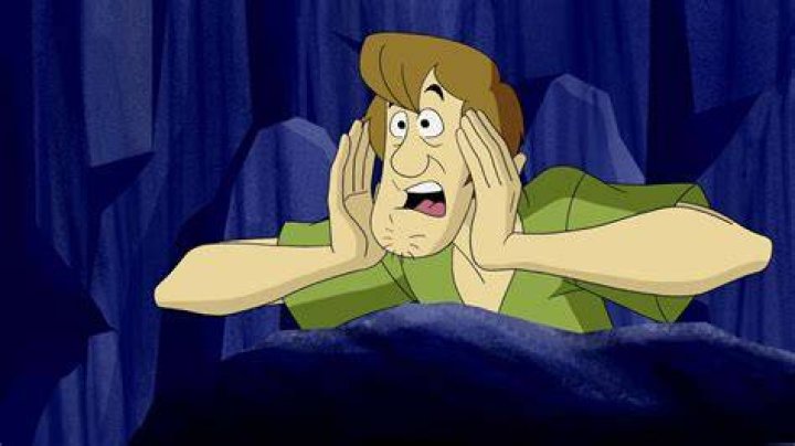 Shaggy ScoobyDoo Wallpaper (38561863) Fanpop