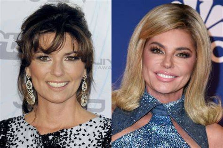 Shania Twain and Fr&eacute;d&eacute;ric Thi&eacute;baud's Relationship Timeline