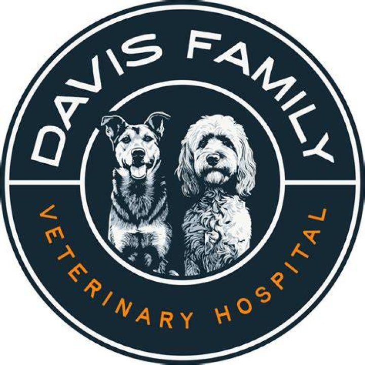 The Davis Family: A Musical Legacy Of Grit And Gospel