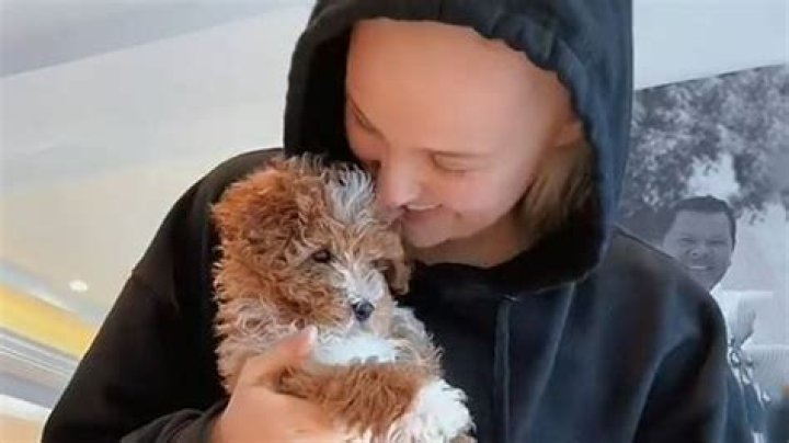 The Tragic Death Of JoJo Siwa's Beloved Dog