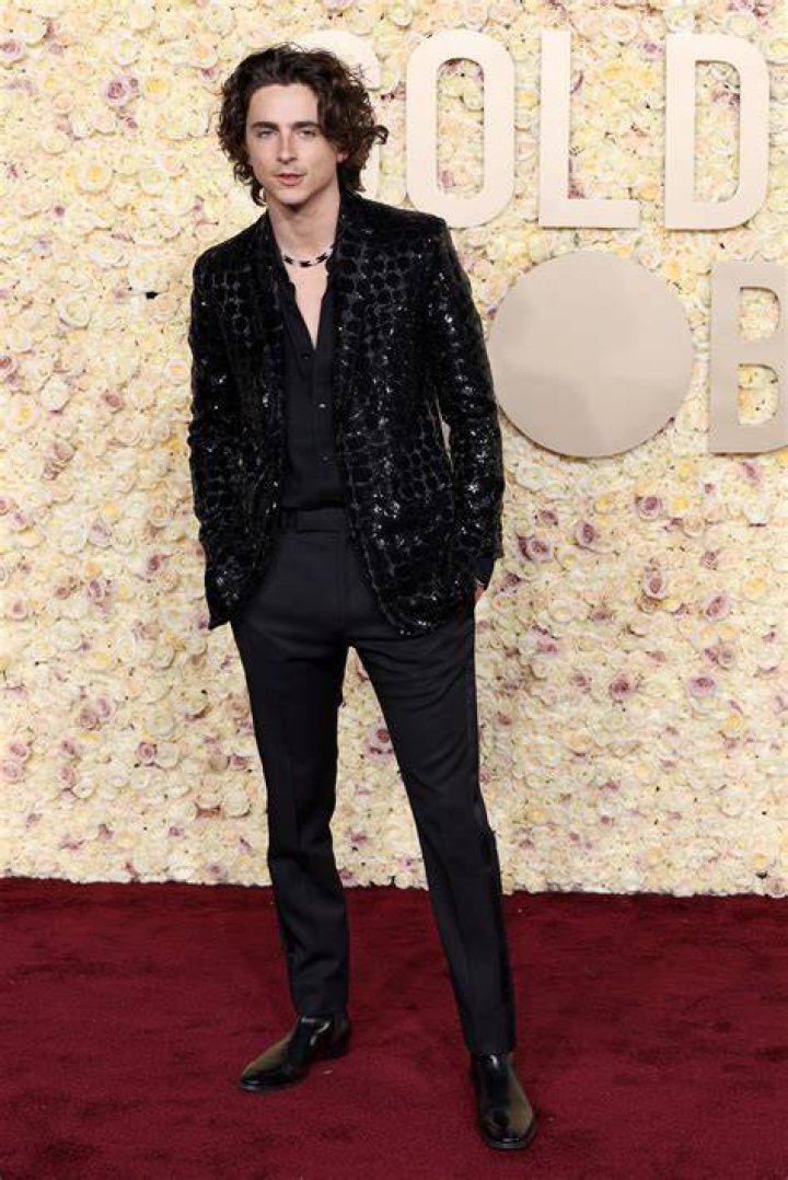 Timoth&eacute;e Chalamet's 10 Best Movies (According To Rotten Tomatoes)
