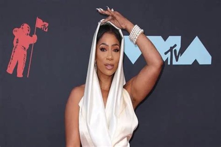 Tommie Lee: A Legendary Musician And Reality Star