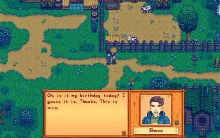 What does shane like in Stardew Valley DigiStatement