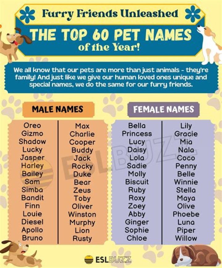 What Pet Name Should You Bestow Upon Your Significant Other? Names