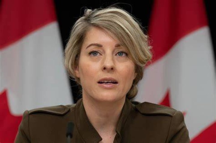 Who Is Mlanie Joly's Husband In 2023?